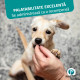 Pet Phos Croissance Junior Ceva – Supliment Vitamino-Mineral pentru Câini în Creștere – 100 Tablete